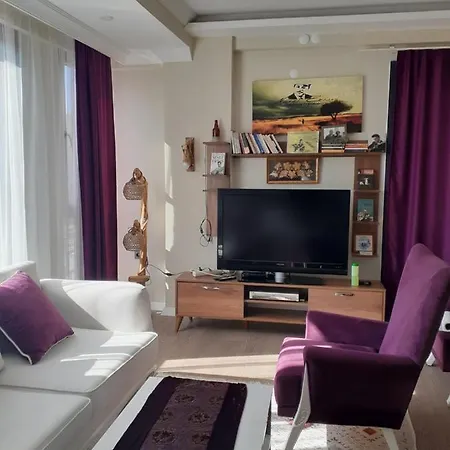 Didim De Sezonluk Esyali Kiralik Yeni Daire 公寓 艾登