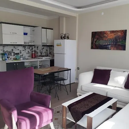 公寓 Didim De Sezonluk Esyali Kiralik Yeni Daire 艾登